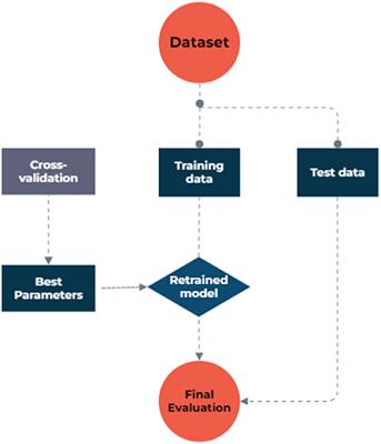 Machine learning-based classifiers to predict metastasis in colorectal cancer patients